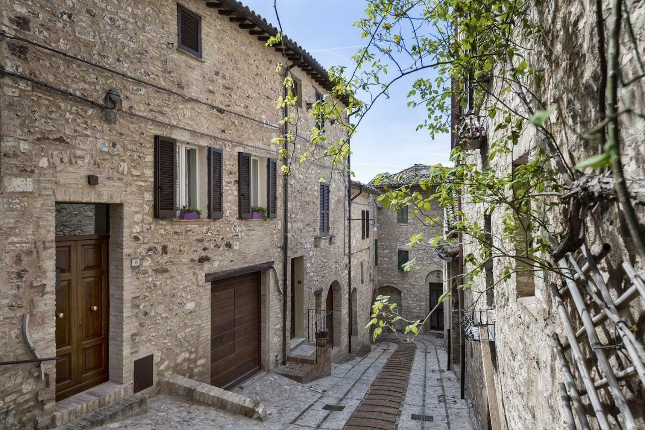 Villa Elisa Spello Exterior photo